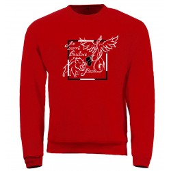 Sweat molleton adulte