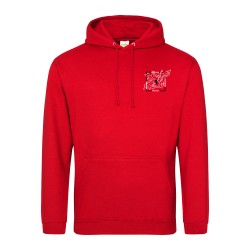 Sweat capuche adulte