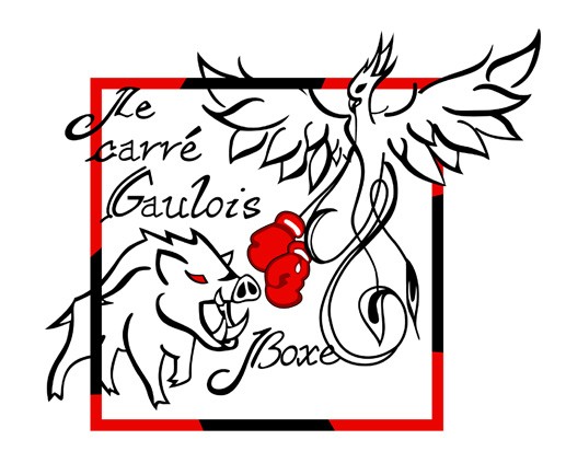 Boutique officielle Carre Gaulois boxe